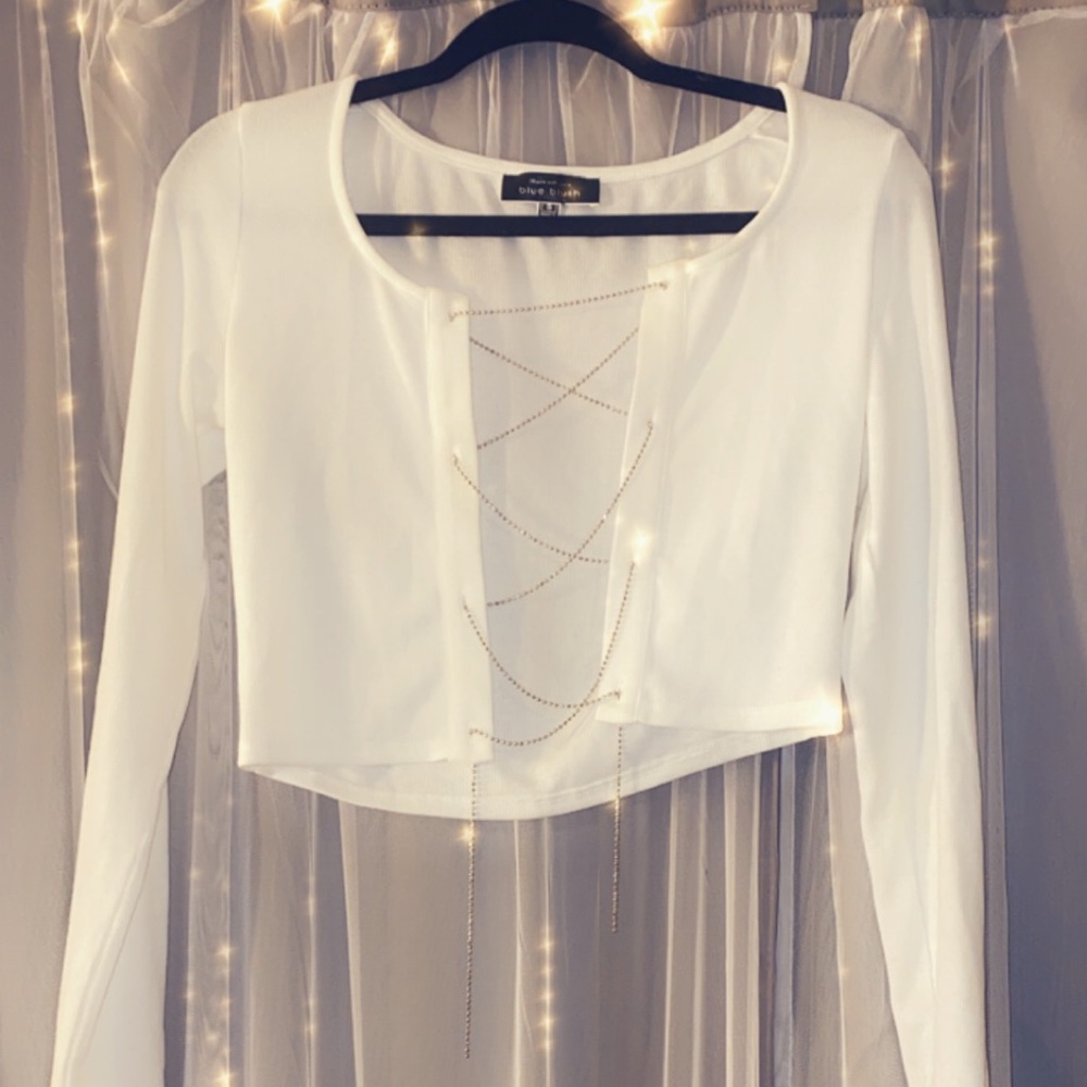 Blue Blush long sleeve open chain crop top